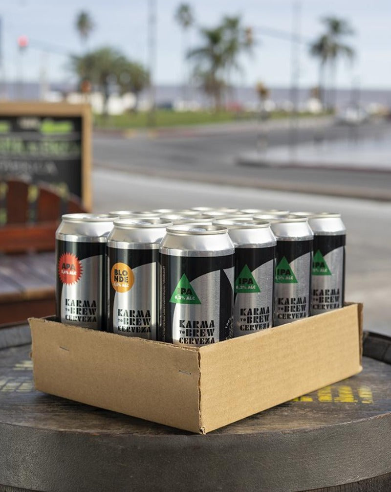 Pack x12 Cervezas surtidas