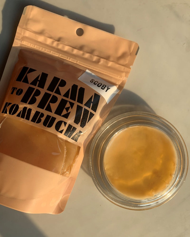 SCOBY de kombucha cultivo madre con 250 mL de starter Karma to Brew